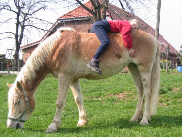 Pferd mit liegendem Kind auf dem Rcken